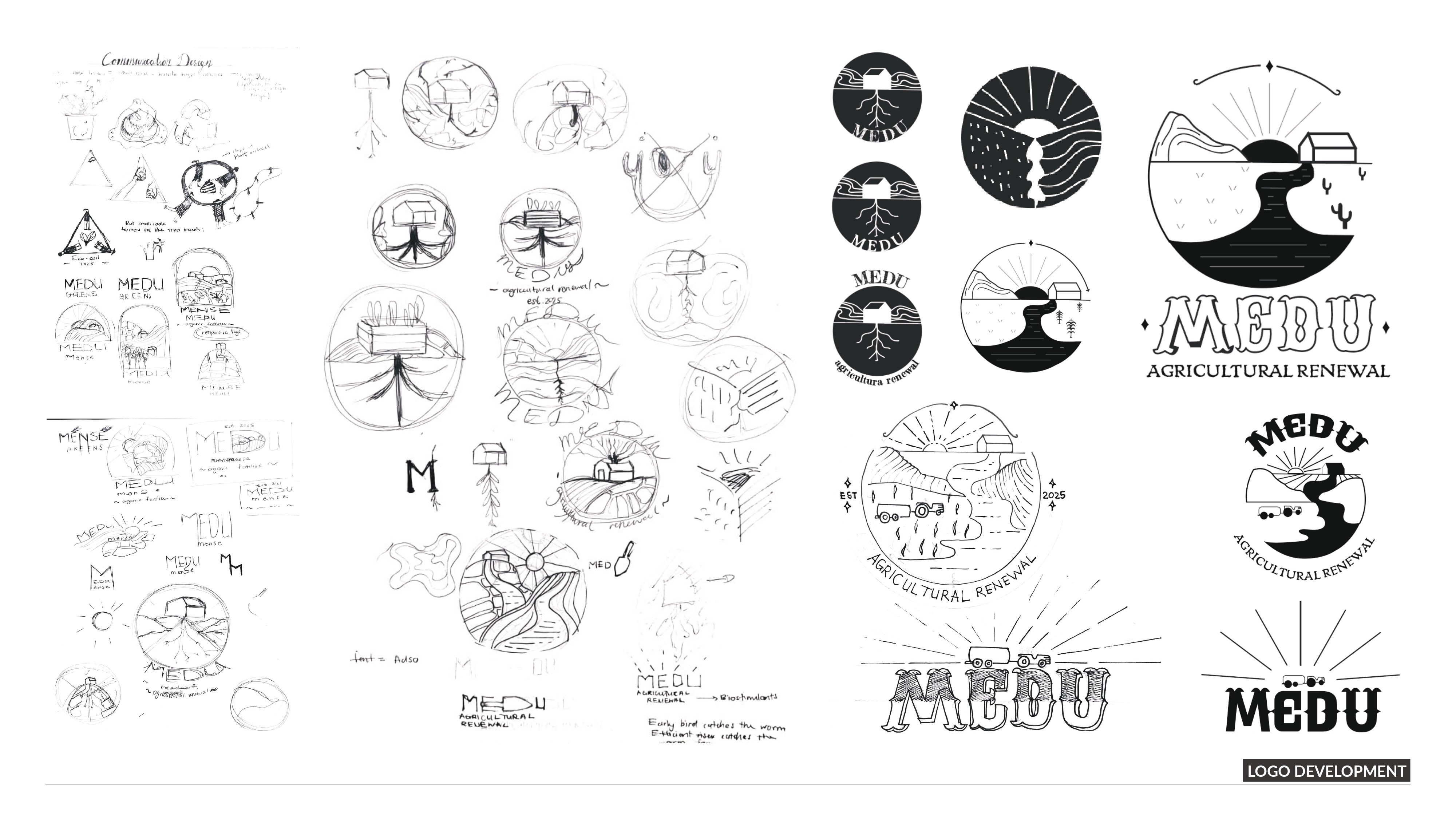 MEDU - Logo Visual Identity